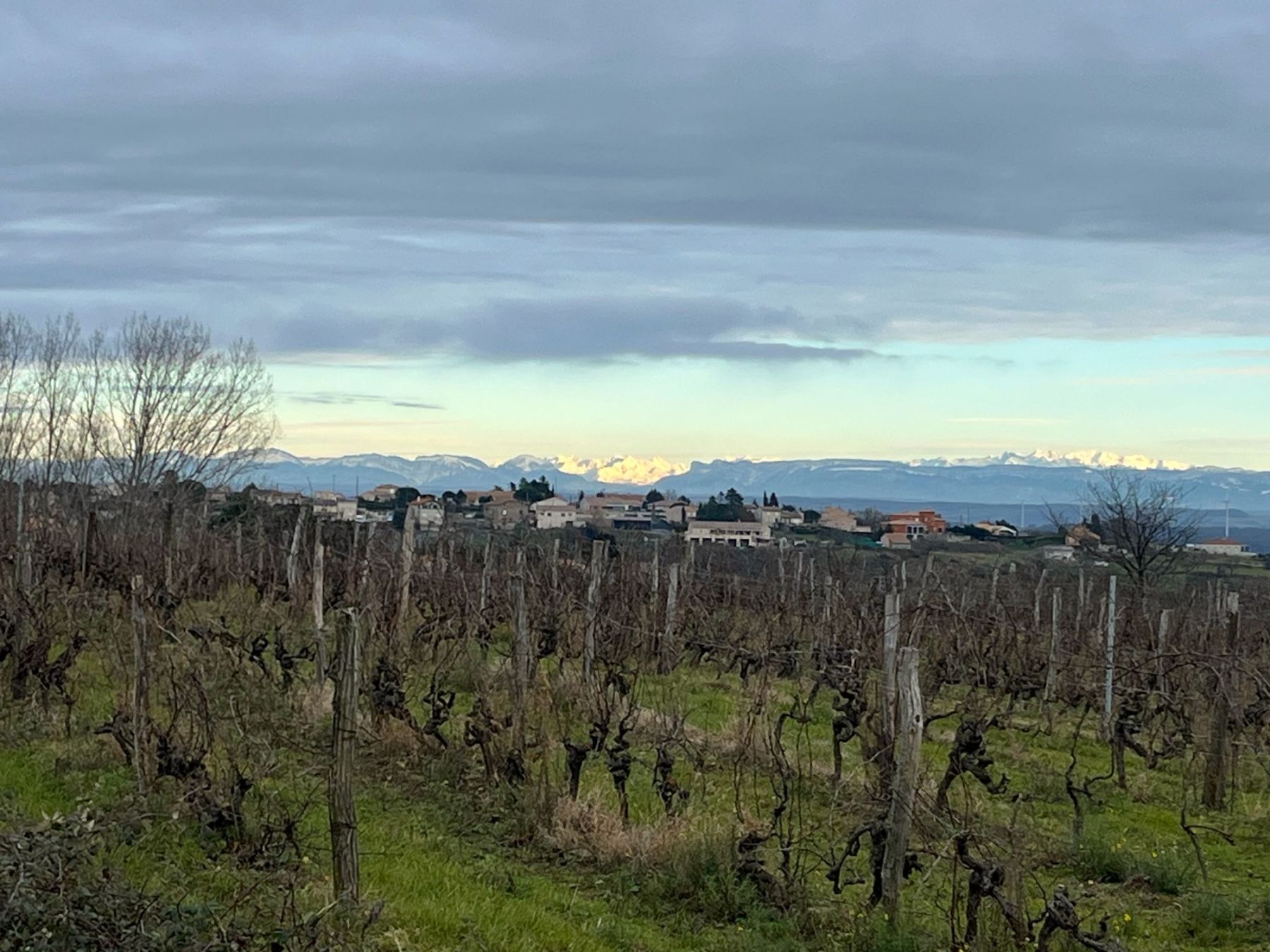 vue sur les Alpes 1